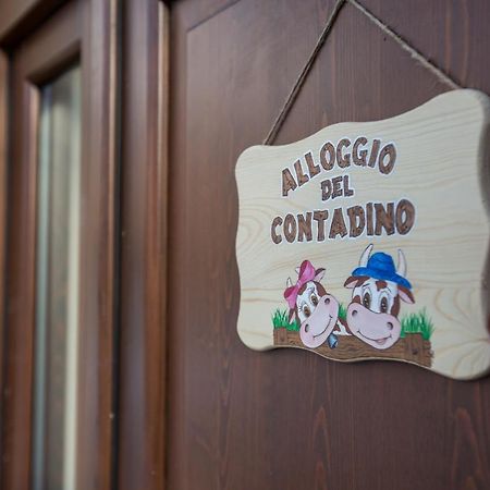 Alloggio Del Contadino Sondrio Exteriér fotografie