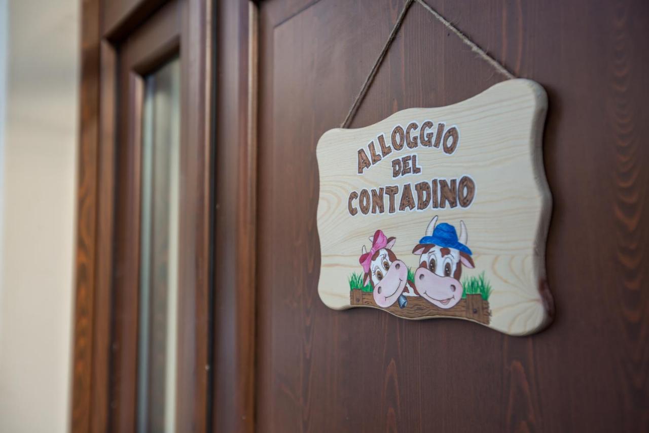 Alloggio Del Contadino Sondrio Exteriér fotografie