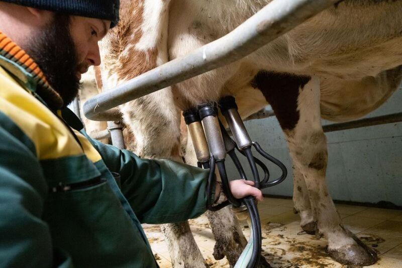 Alloggio Del Contadino Sondrio Exteriér fotografie